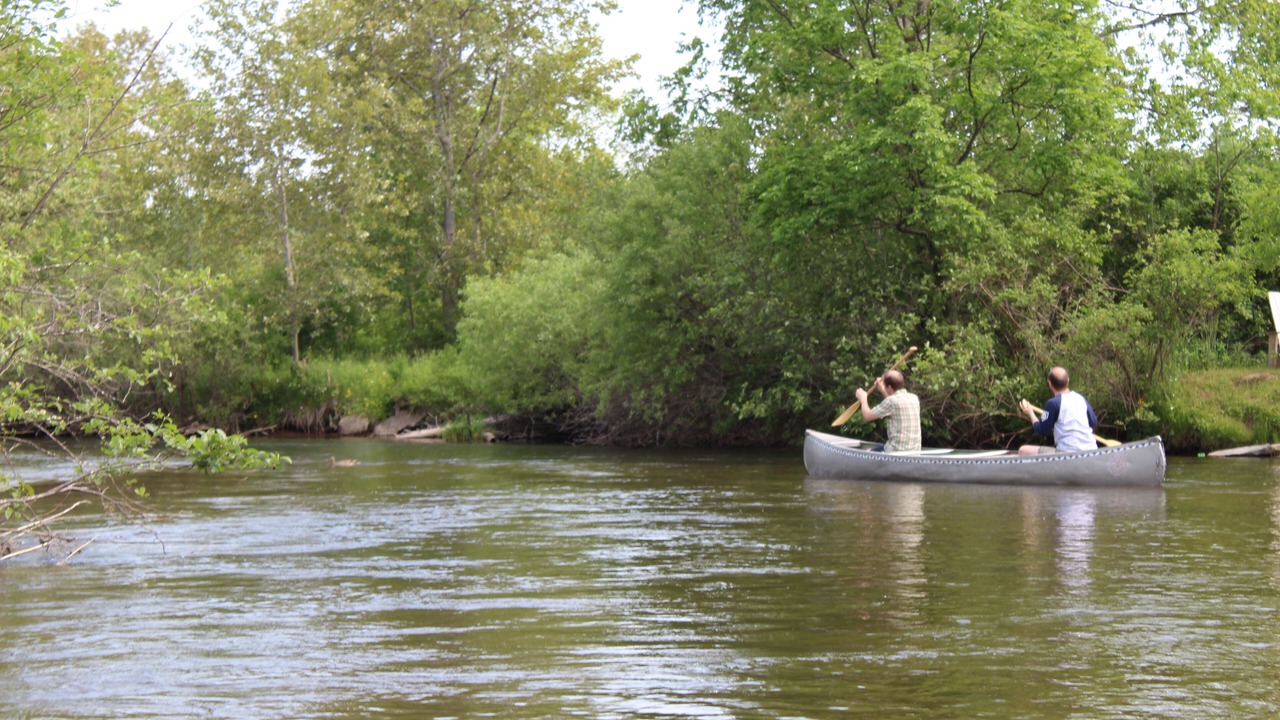 Photo of Others in Mayfield