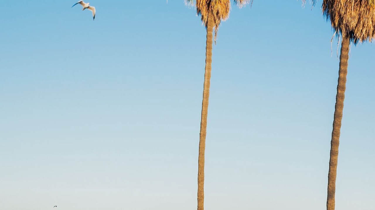 Photo of Others in Belmont Shore
