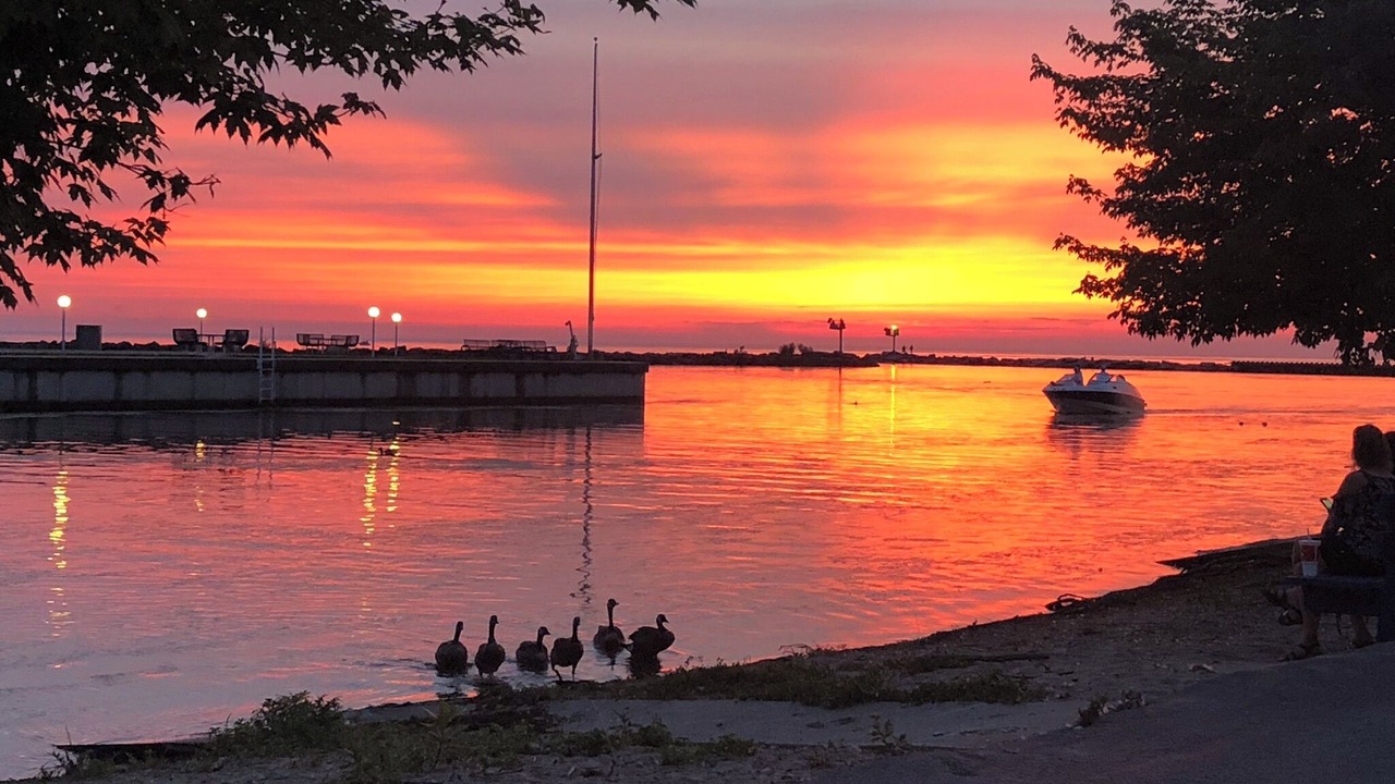 Photo of Others in New Buffalo