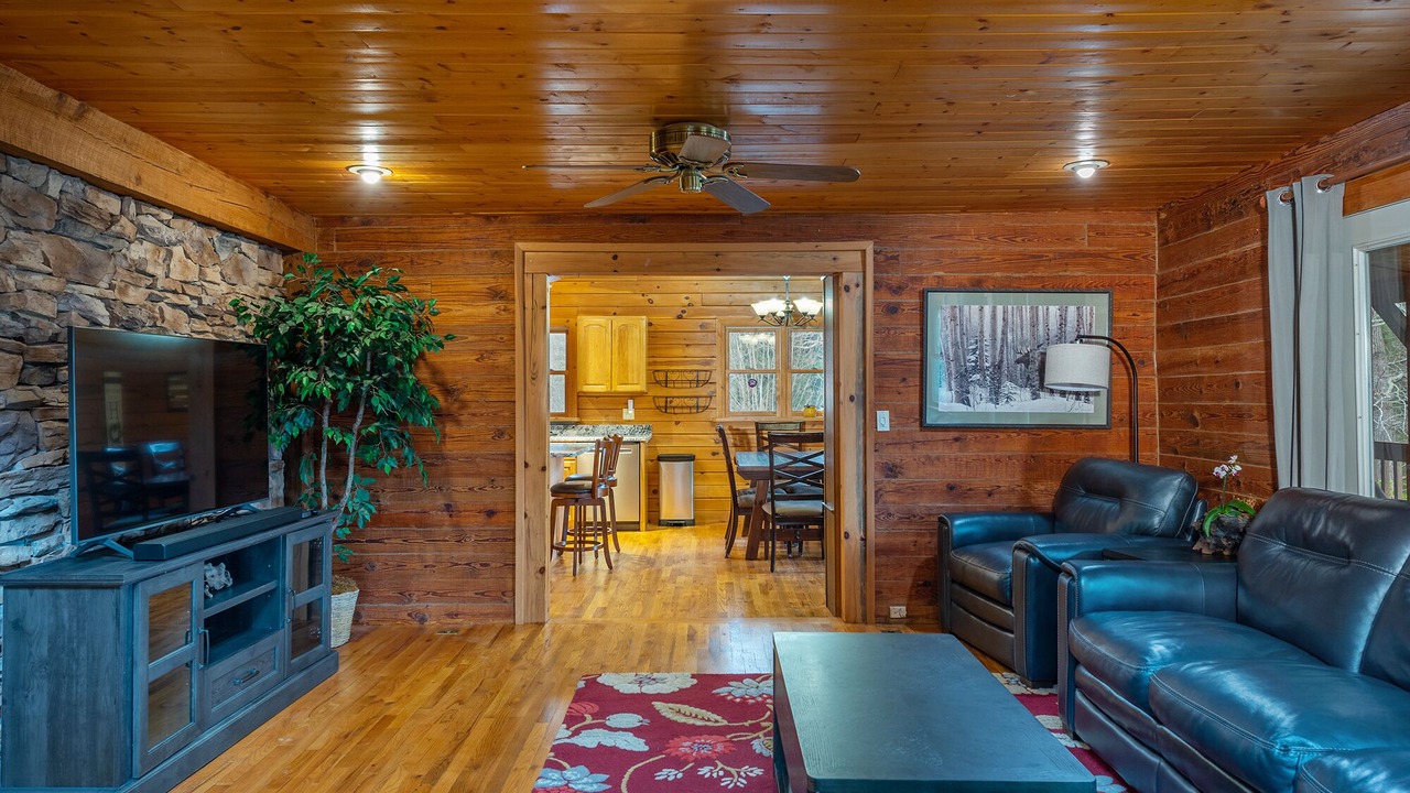 Photo of Livingroom in Asheville