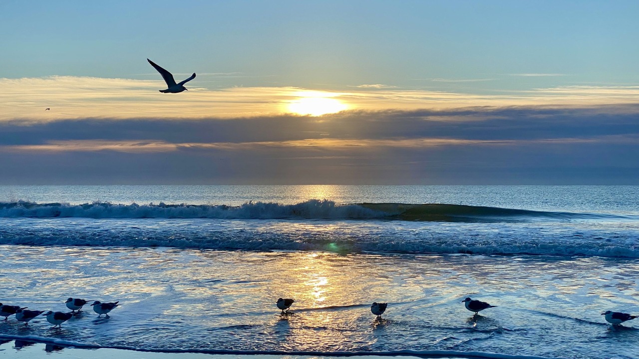 Photo of Others in Myrtle Beach