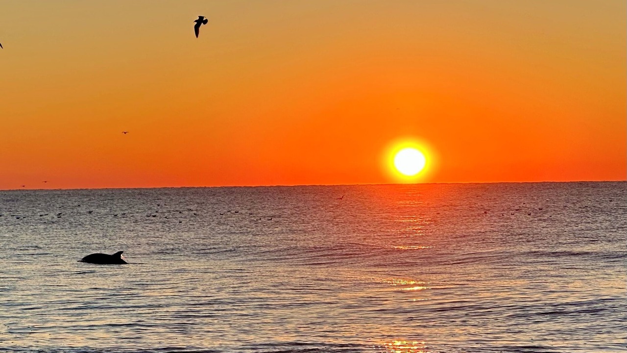 Photo of Others in Myrtle Beach