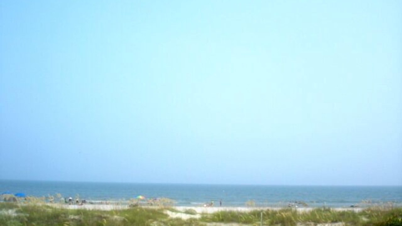 Photo of Others in Folly Field
