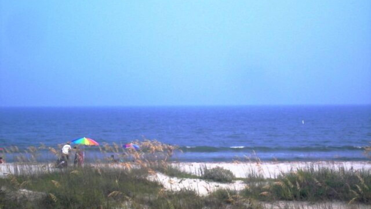 Photo of Others in Folly Field