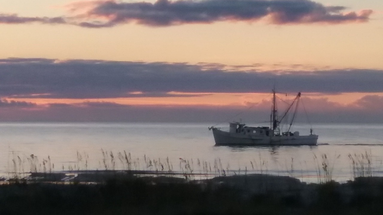 Photo of Others in Folly Field