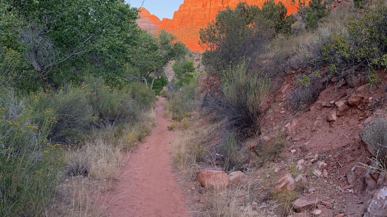 Photo of Others in Zion National Park South Entrance