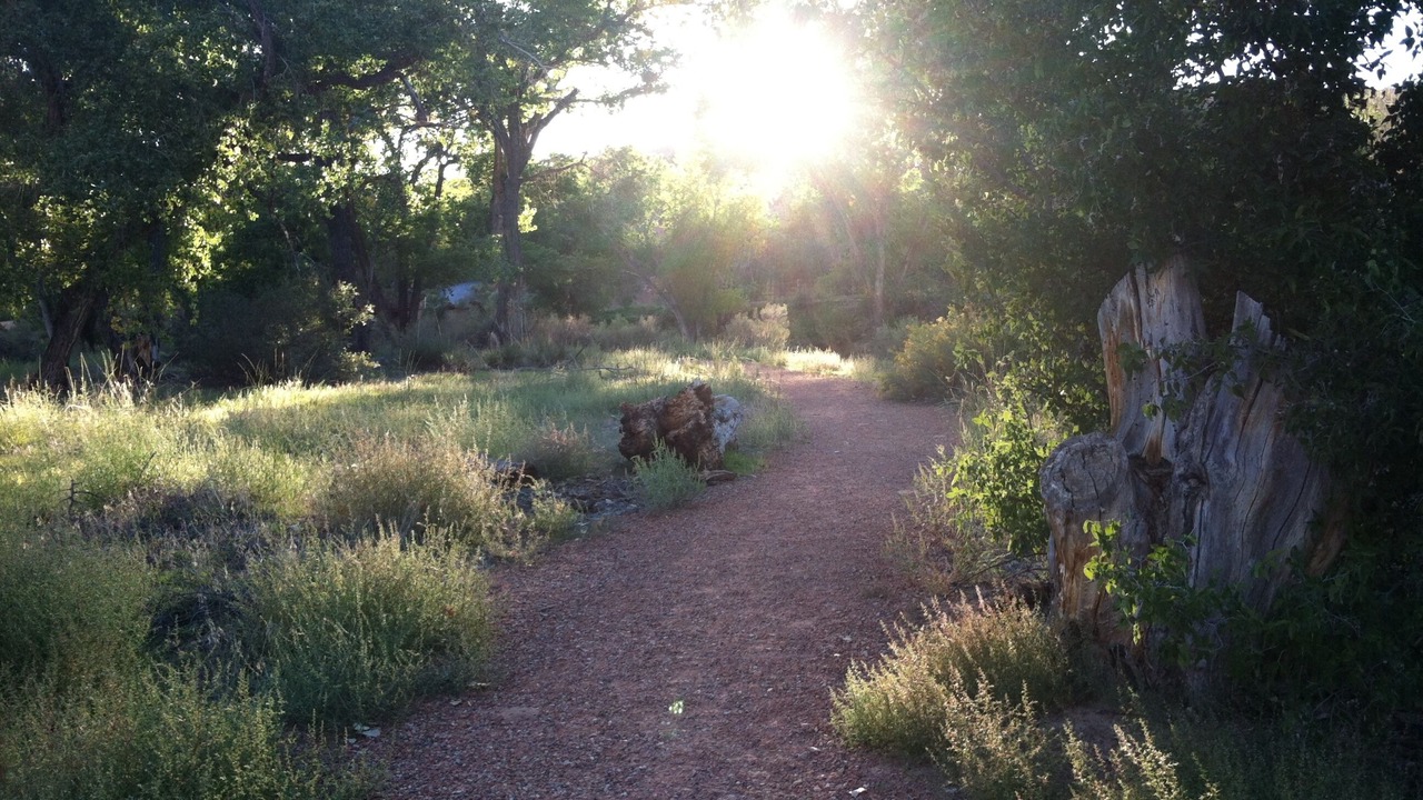 Photo of Others in Zion National Park South Entrance