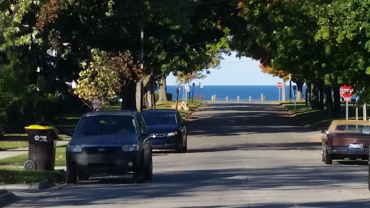 Photo of Others in South Haven