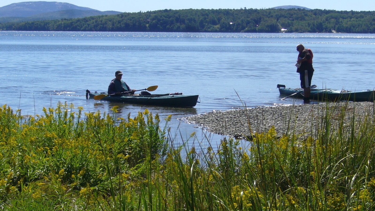Photo of Others in Lamoine