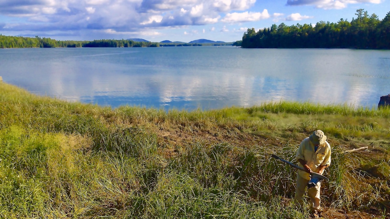 Photo of Others in Lamoine