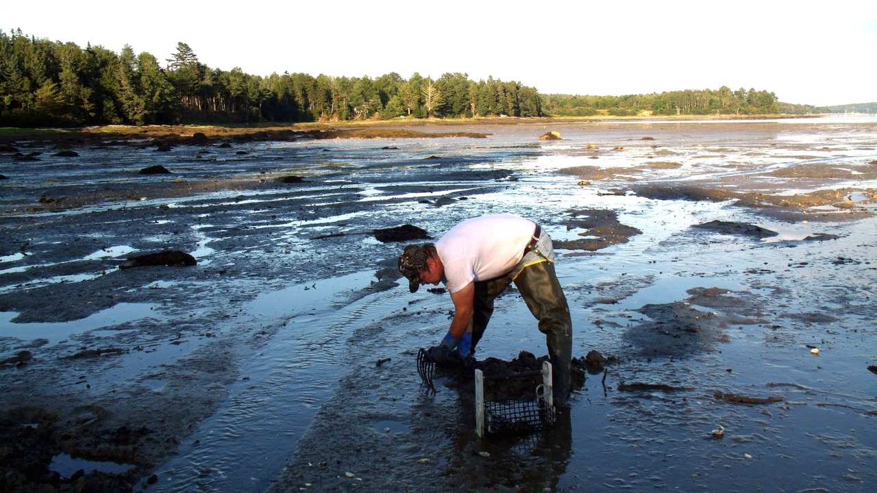 Photo of Others in Lamoine