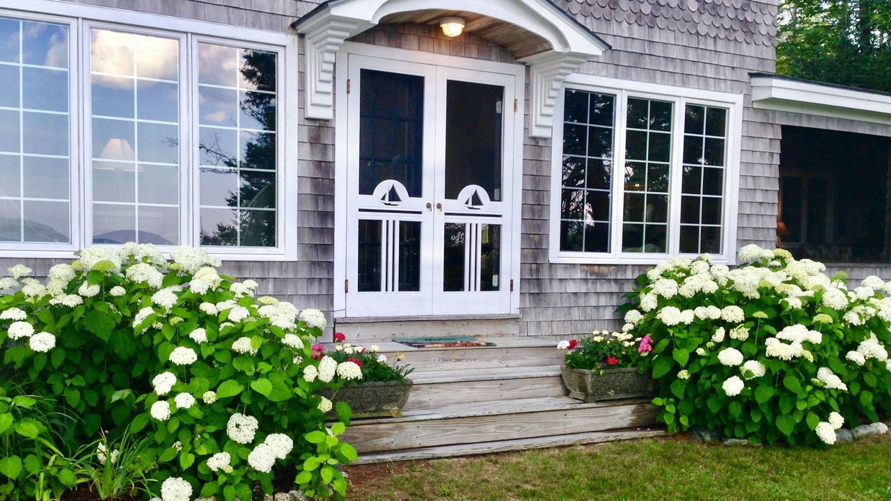 Photo of Outdoor in Lamoine