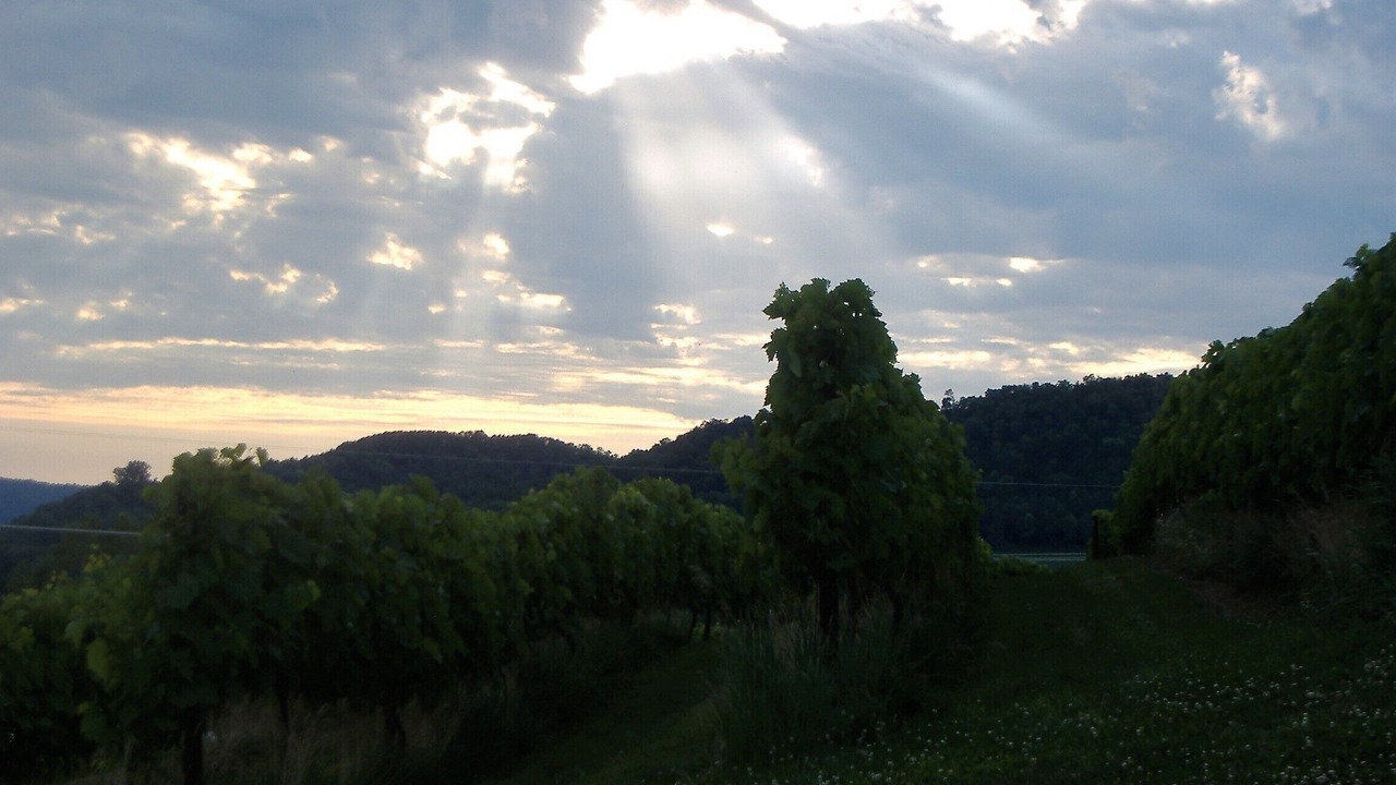 Photo of Outdoor in Vernon County