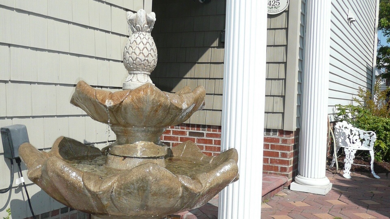 Photo of Outdoor in North End