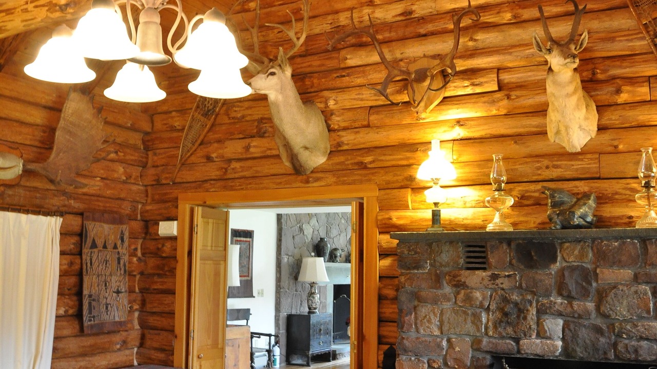 Photo of Livingroom in Bovina Center