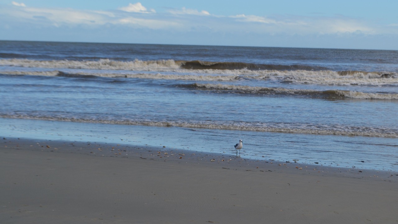 Photo of Others in Isle of Palms