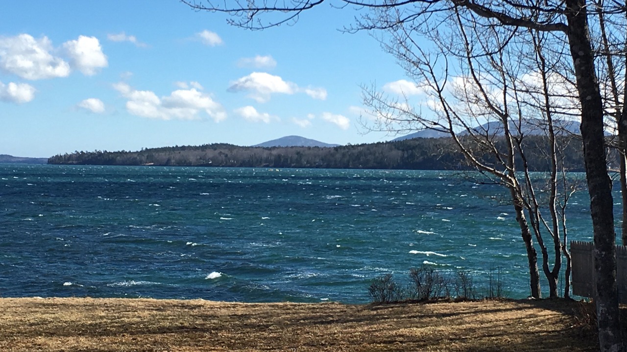 Photo of Others in Lamoine Beach