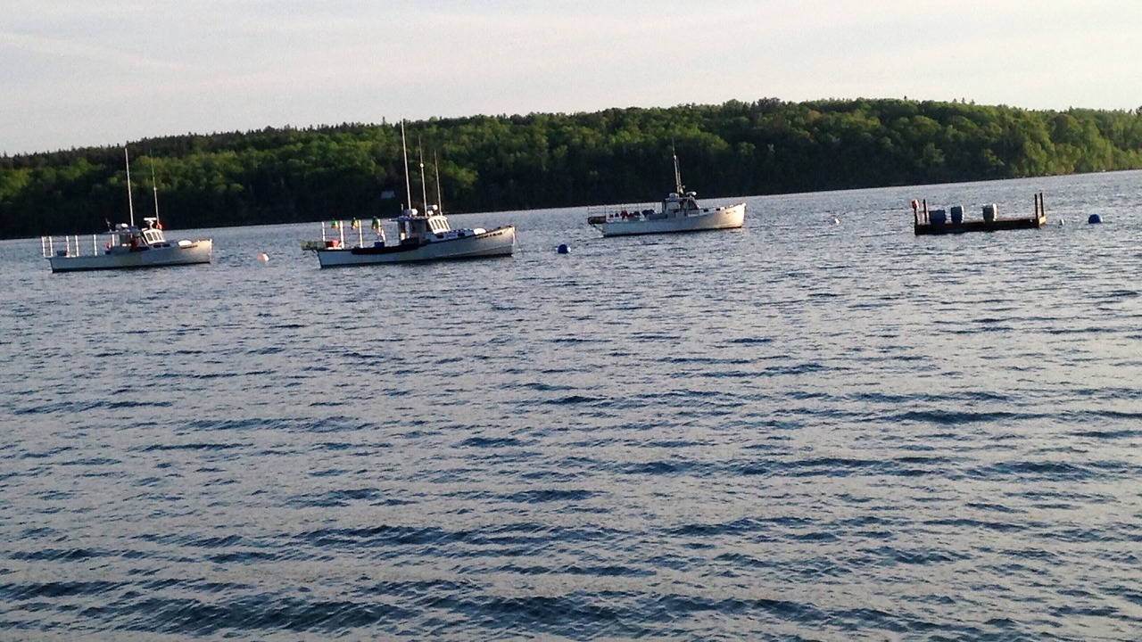 Photo of Others in Lamoine Beach