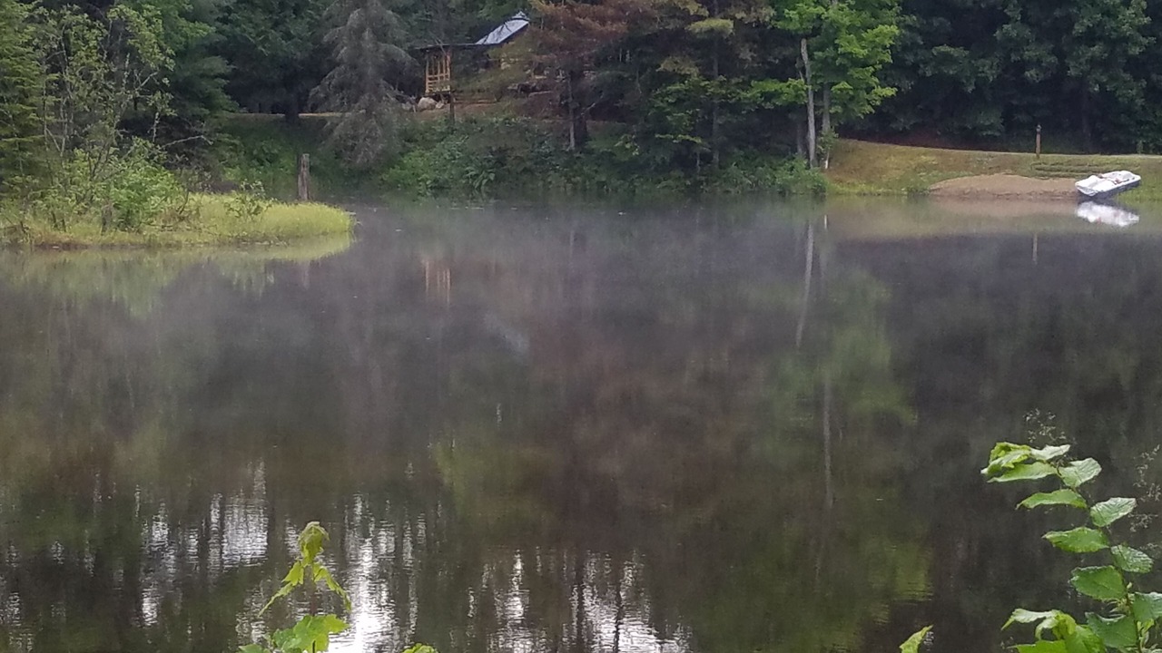Photo of Outdoor in North Creek