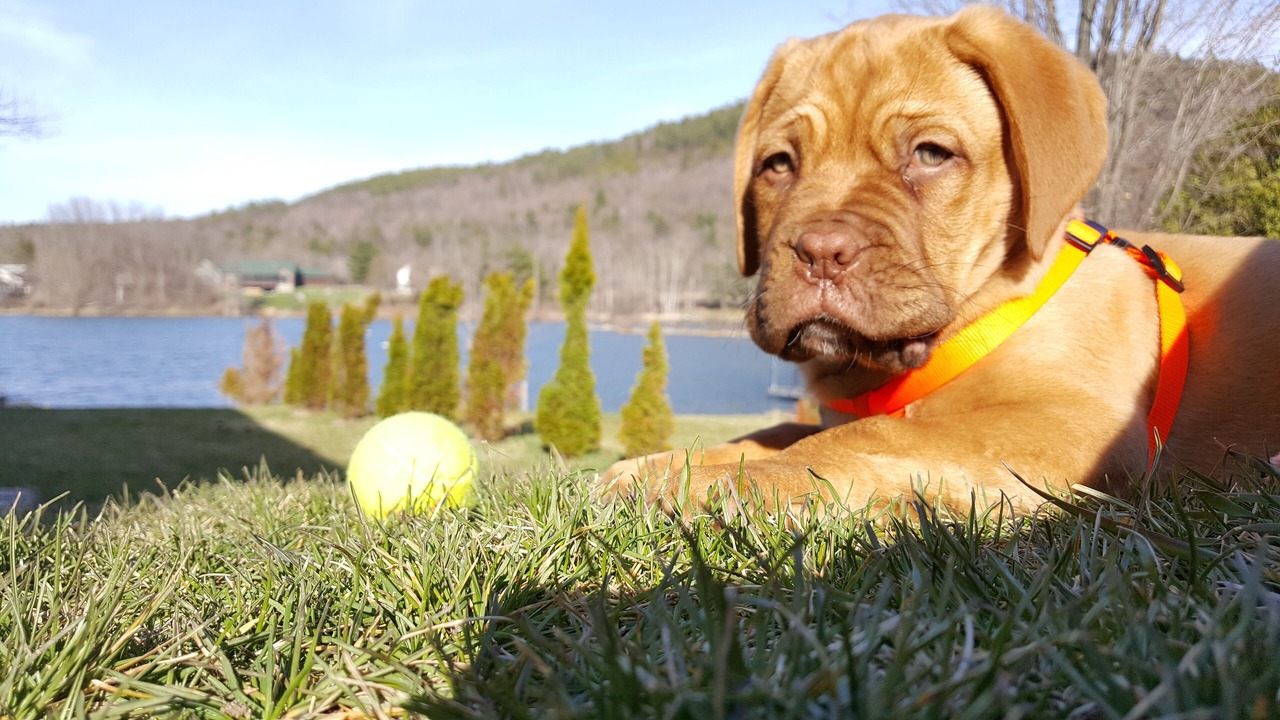 Photo of Outdoor in Ticonderoga