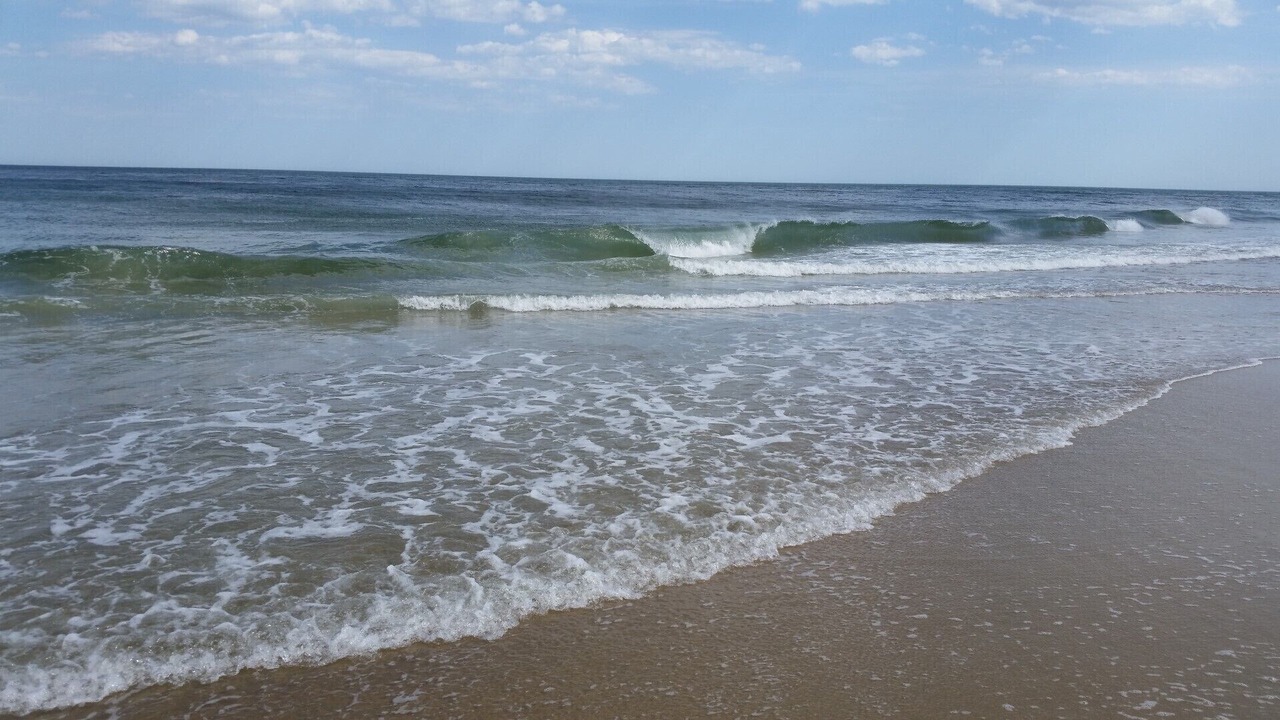 Photo of Others in North Ocean City