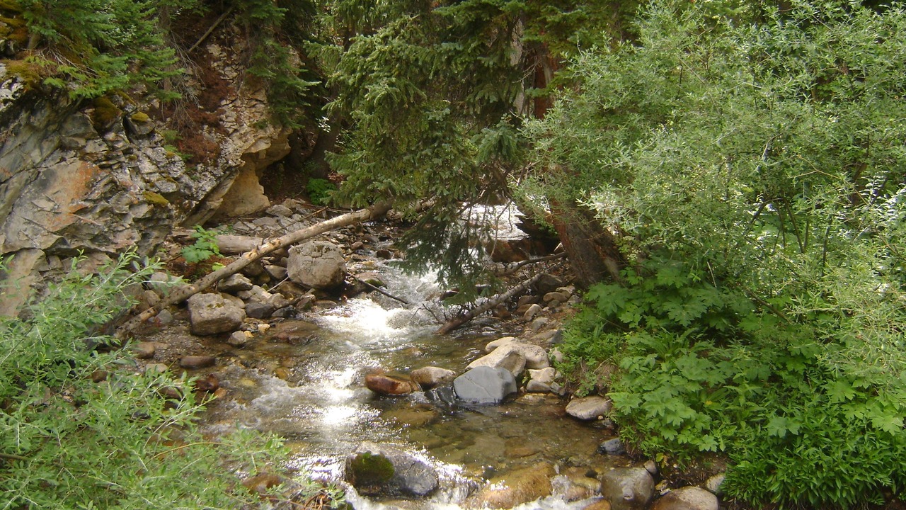 Photo of Outdoor in Garfield