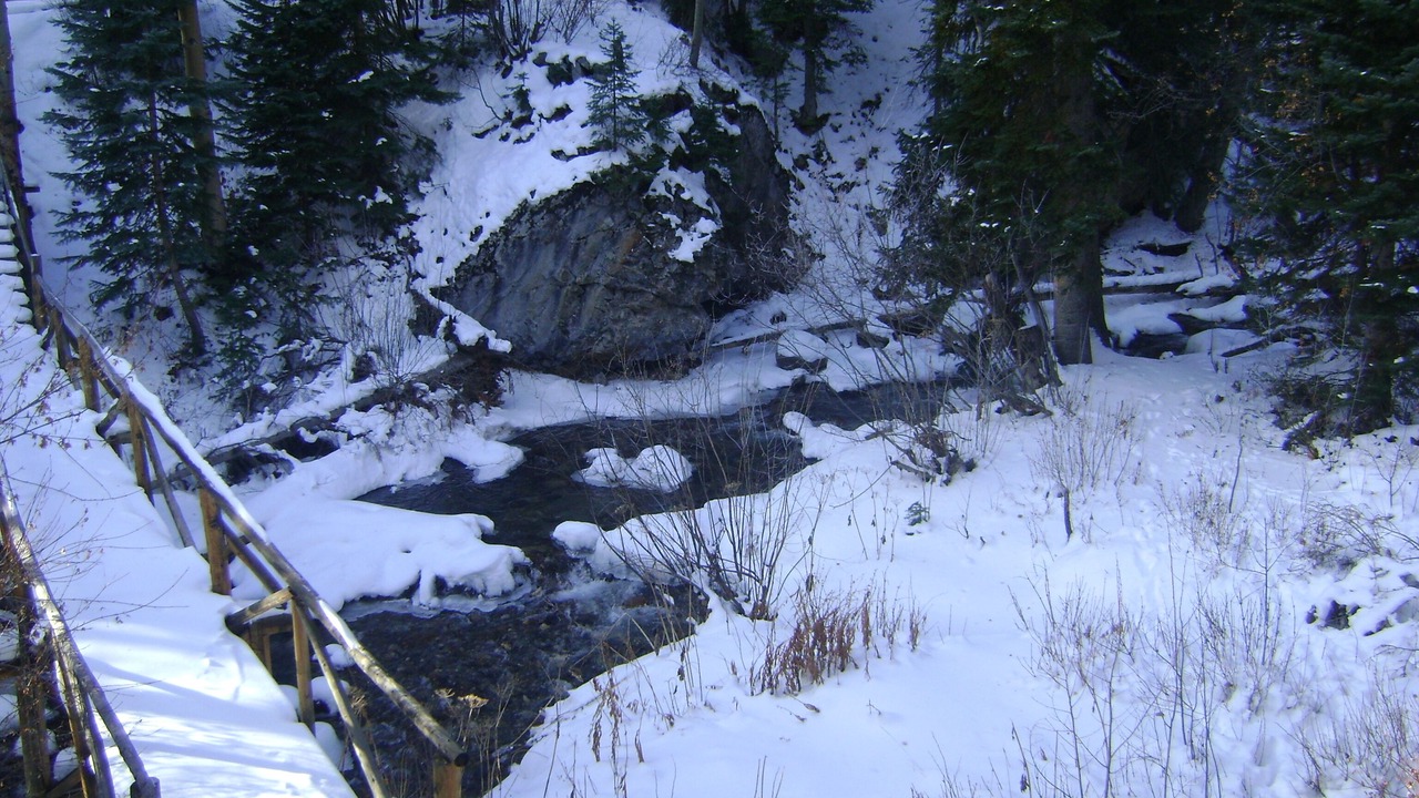 Photo of Outdoor in Garfield