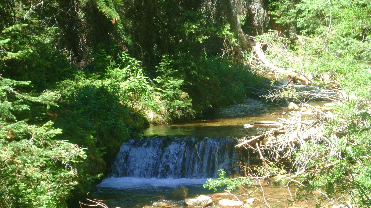 Photo of Outdoor in Garfield