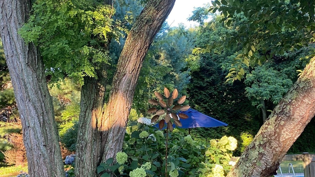 Photo of Outdoor in Sagaponack