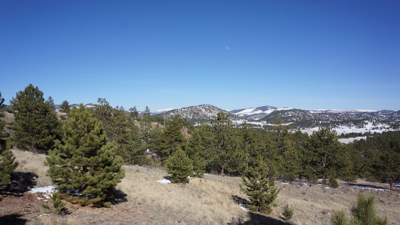 Photo of Others in Park County