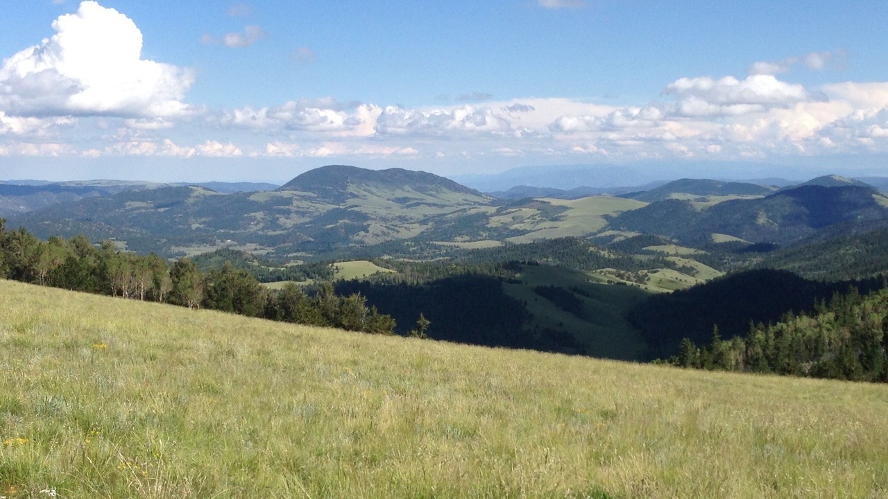 Photo of Others in Park County