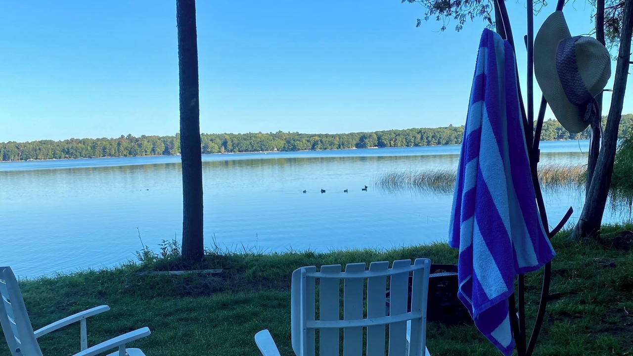 Photo of Outdoor in Maple City