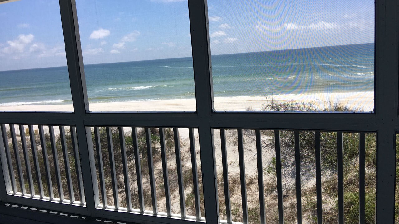 Photo of Others in Port St. Joe