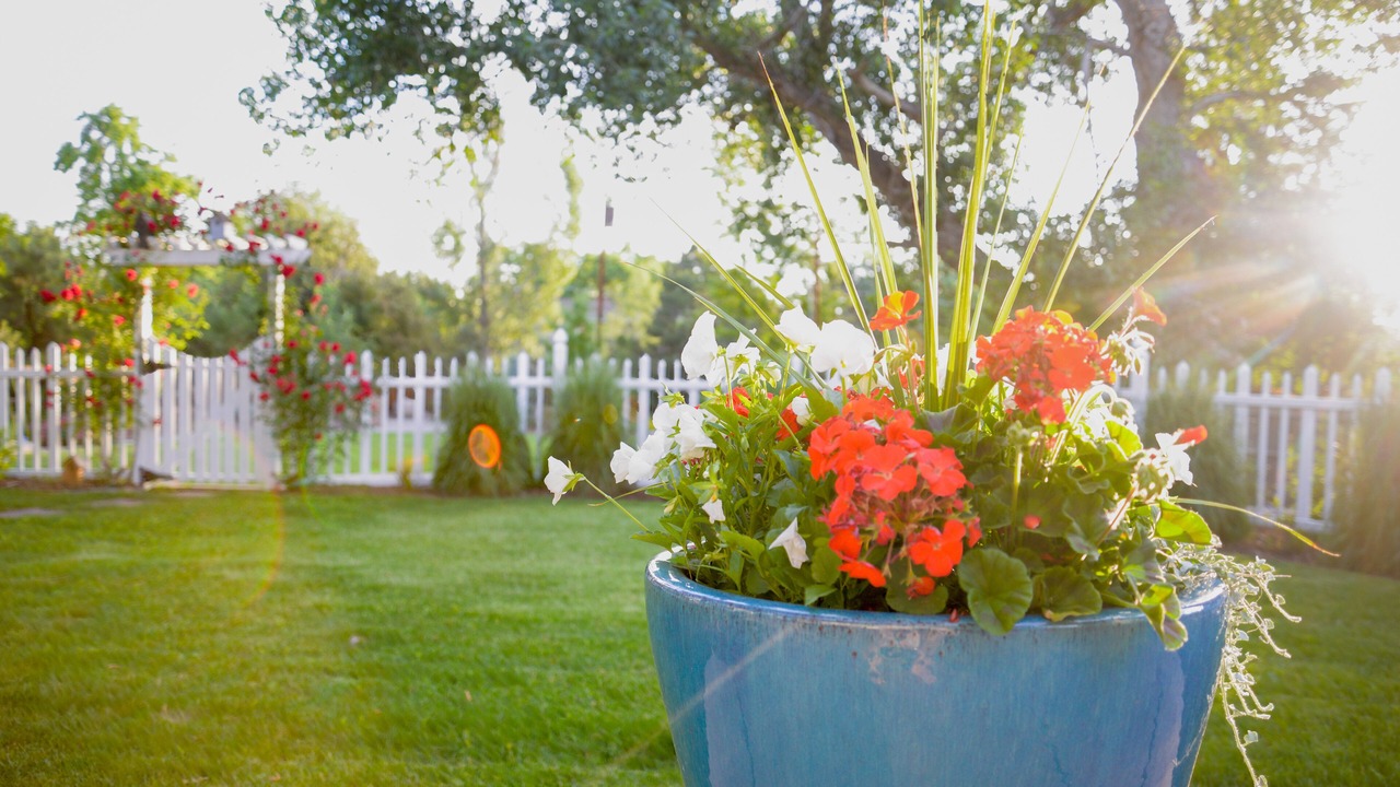 Photo of Outdoor in Columbine
