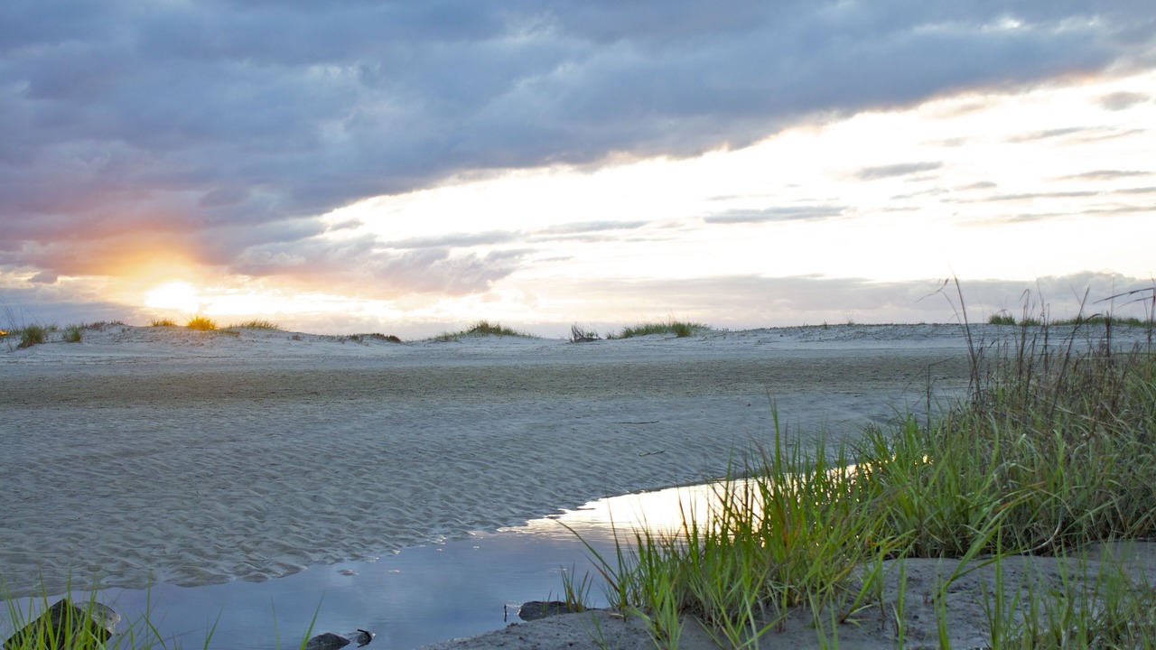 Photo of Others in East Beach