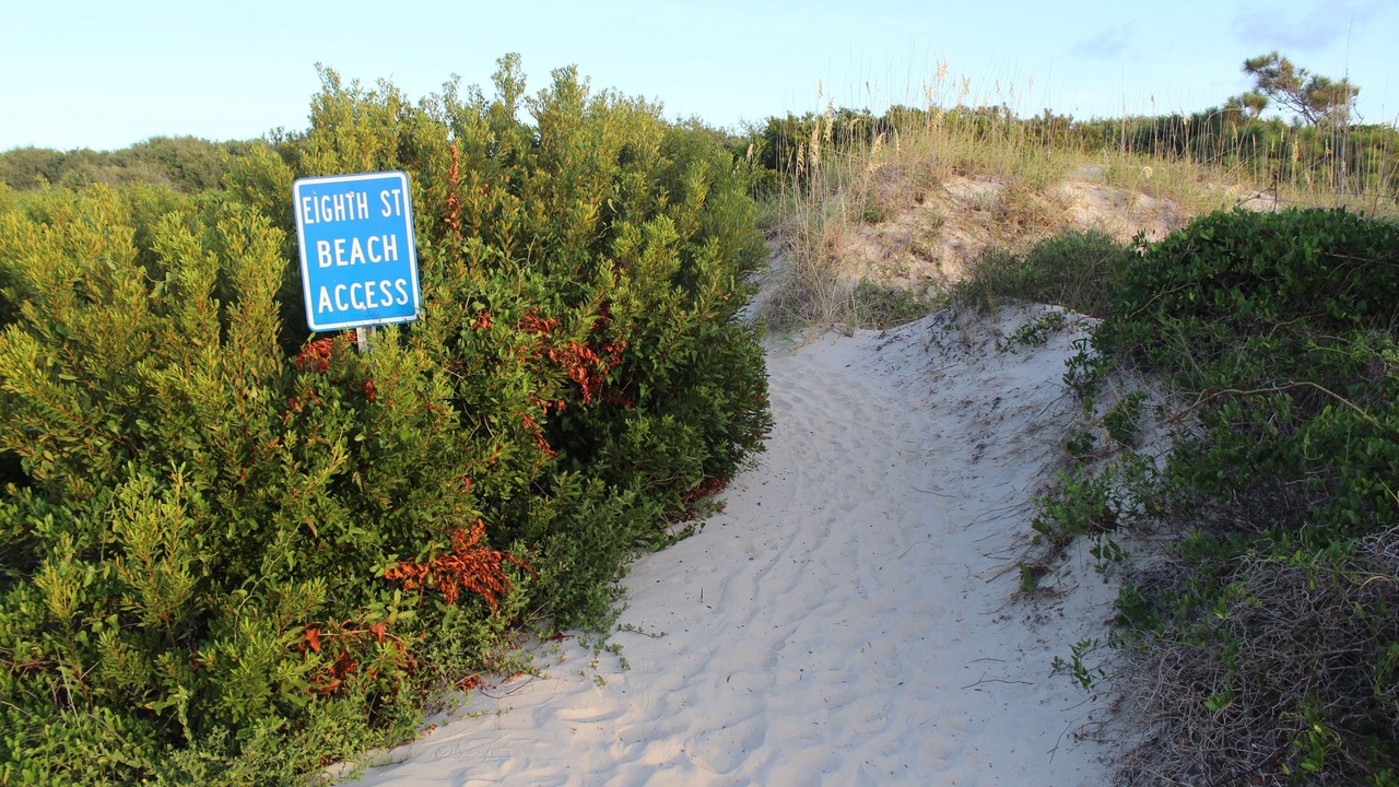 Photo of Others in East Beach
