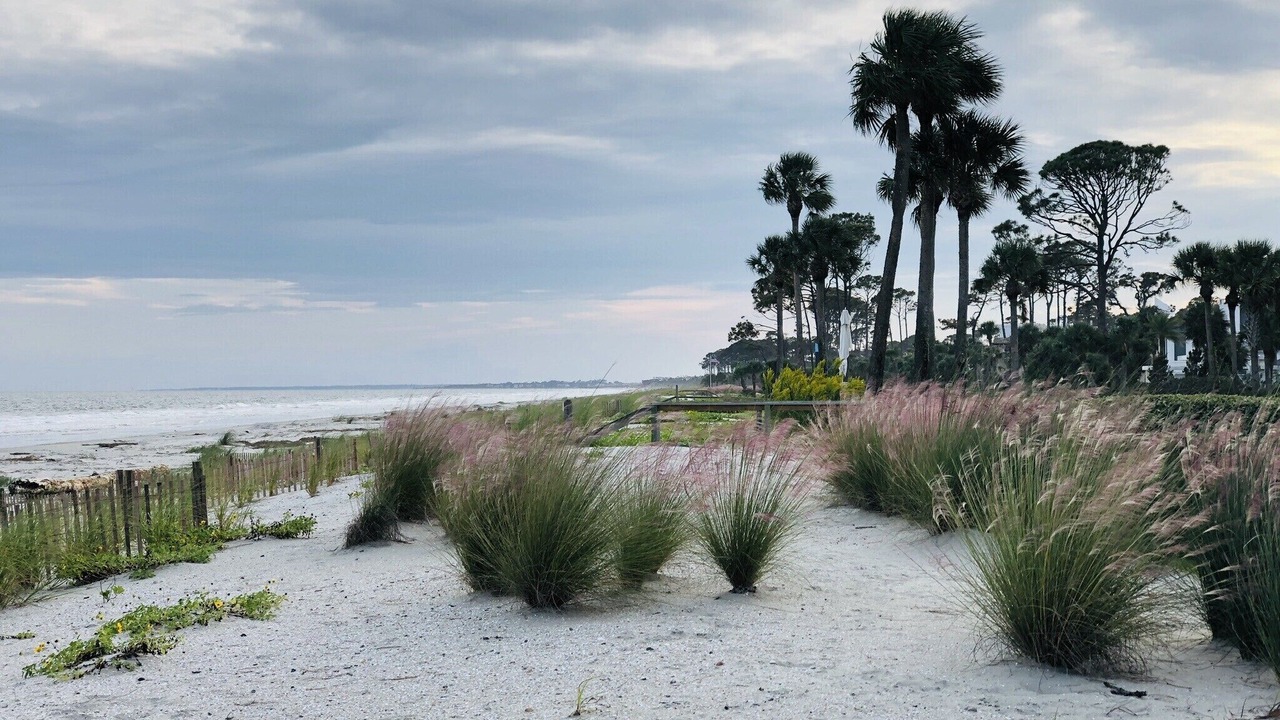 Photo of Others in Sea Island