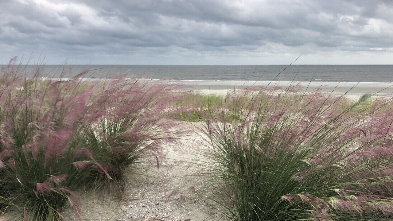 Photo of Others in Sea Island
