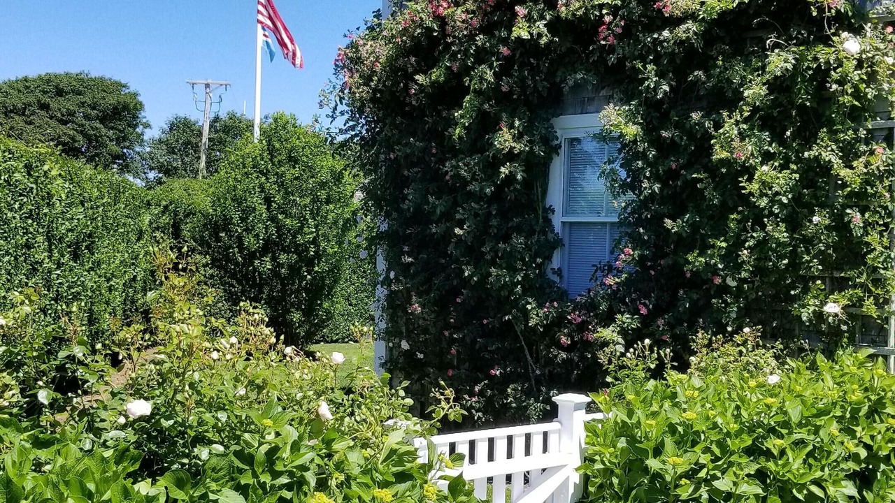 Photo of Others in Siasconset