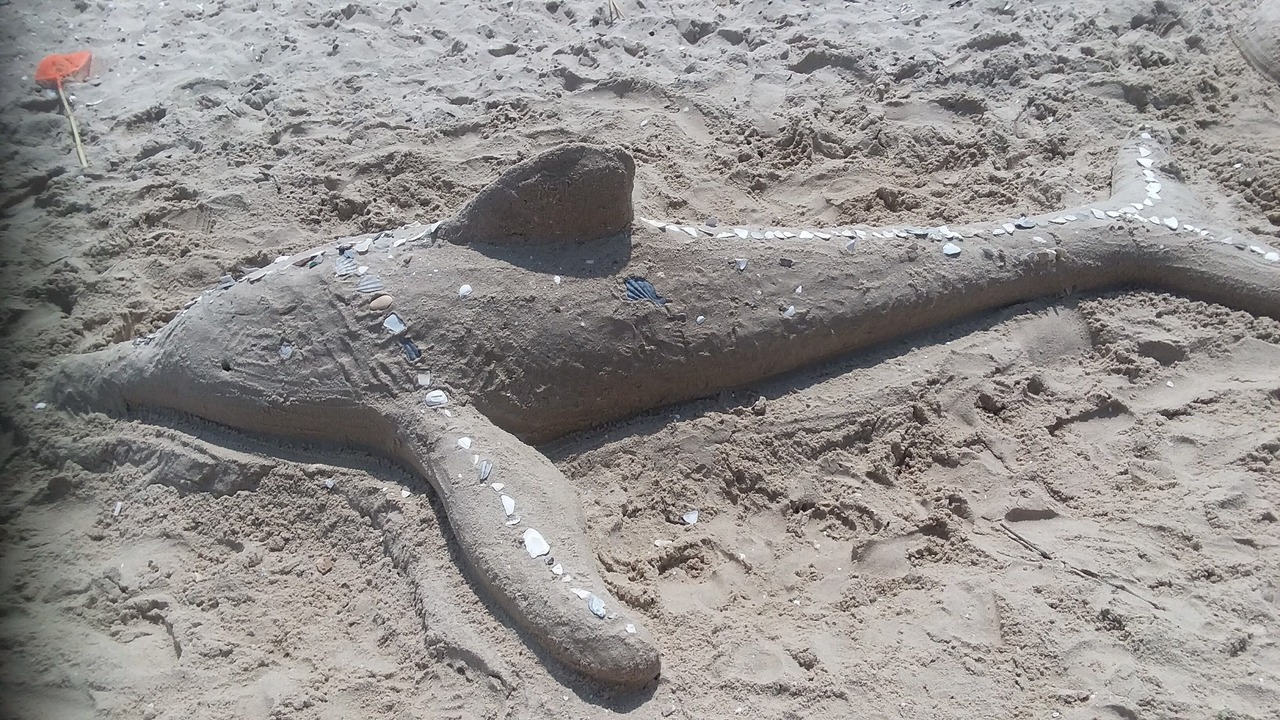 Photo of Others in Calvert Beach-Long Beach
