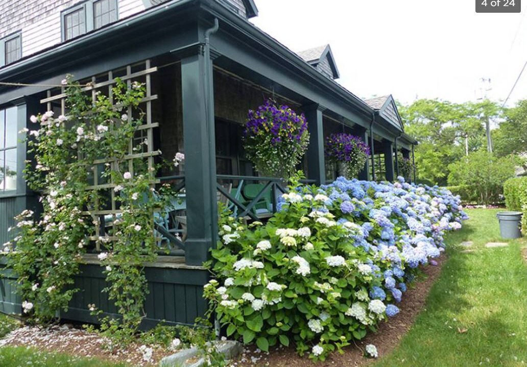 Photo of Outdoor in Siasconset