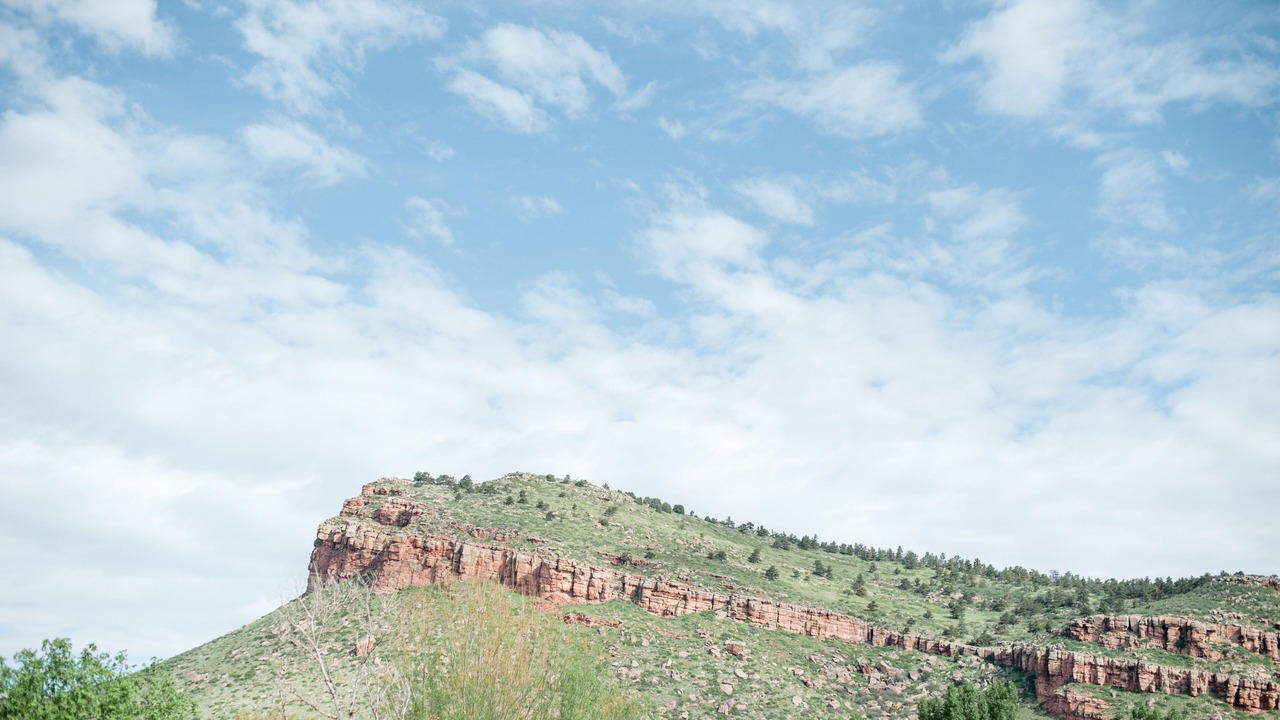 Photo of Others in Lyons