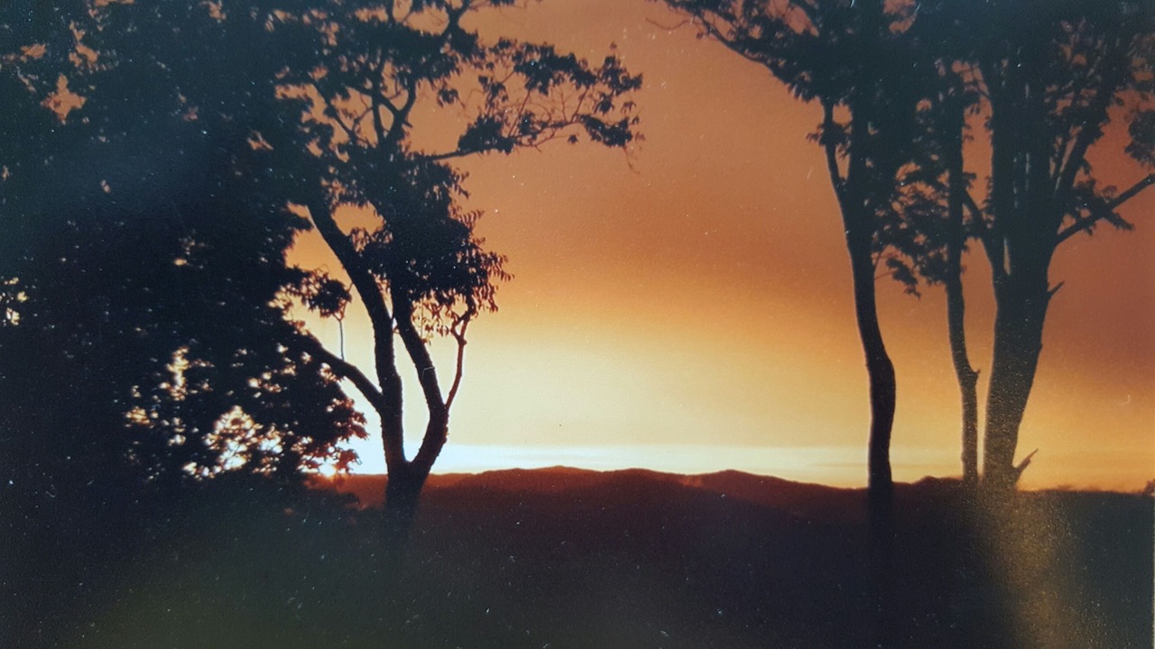 Photo of Others in Wolf Laurel