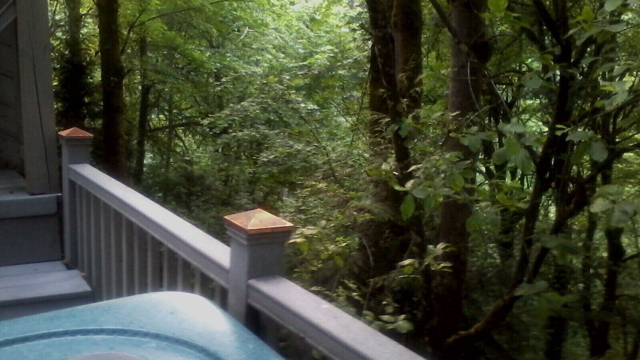 Photo of Others in Hidden Springs