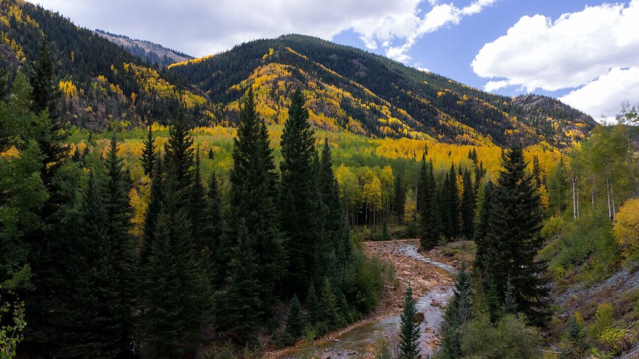 Photo of Others in Jasper