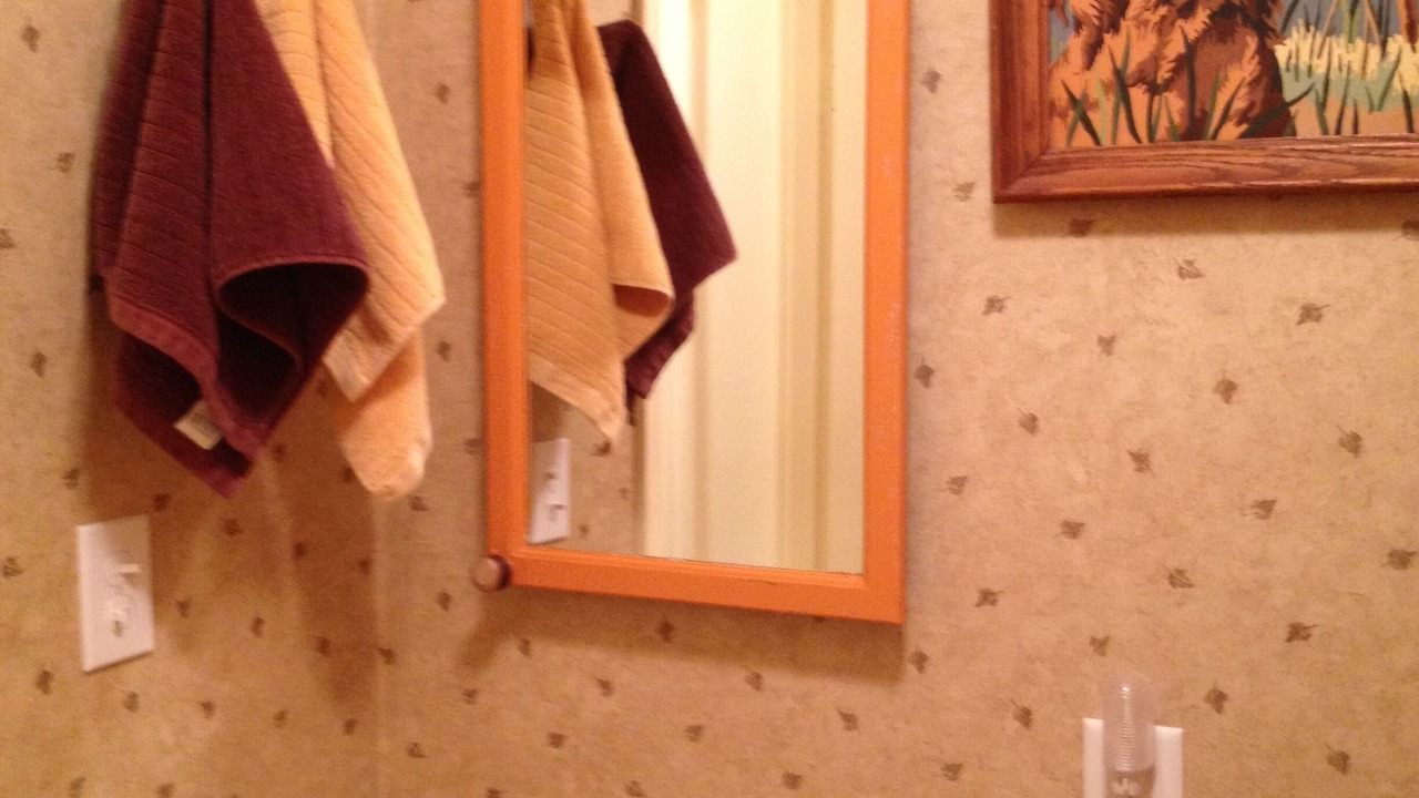 Photo of Bathroom in Paw Paw