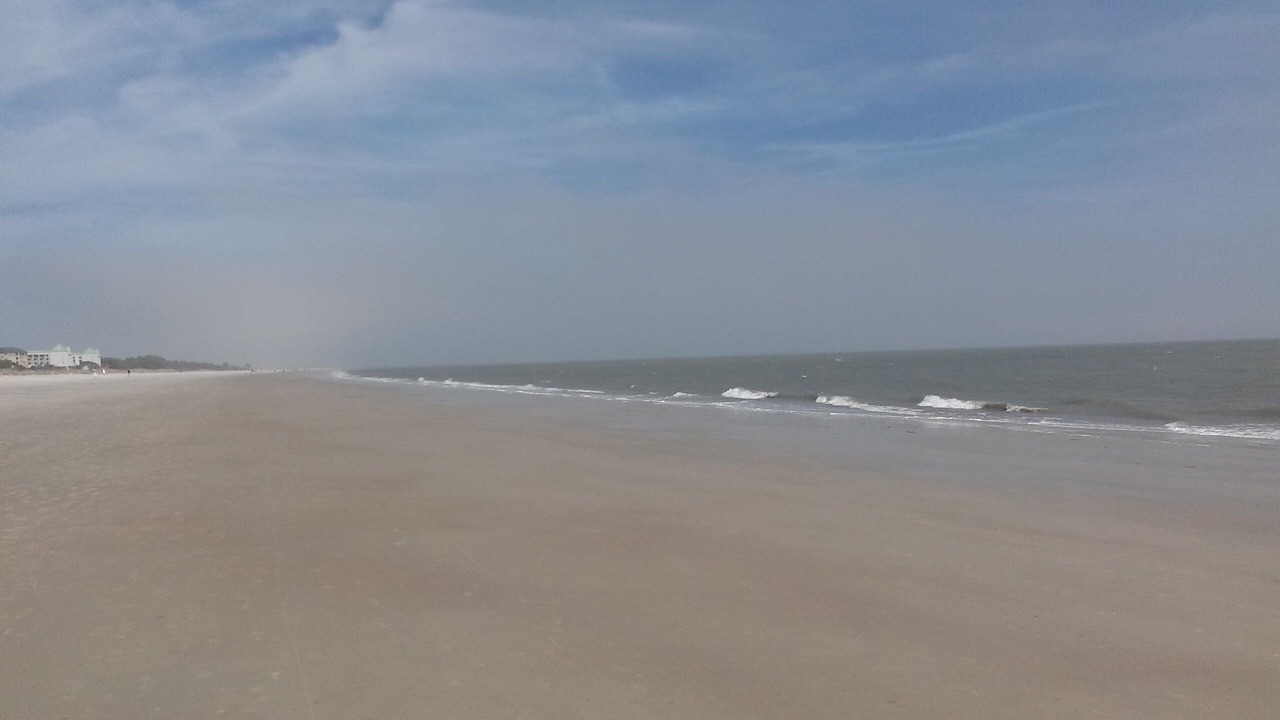 Photo of Others in Folly Field