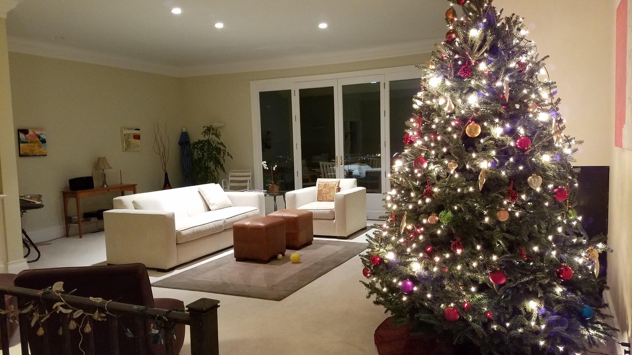 Photo of Bedroom in San Rafael