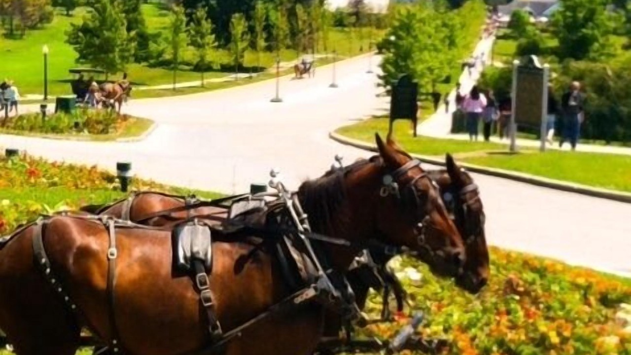 Photo of Others in Mackinac Island