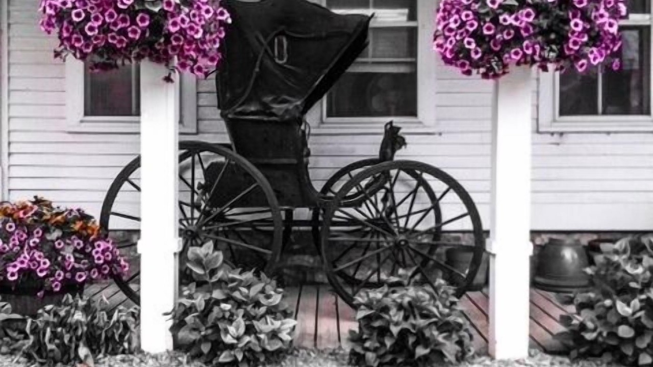 Photo of Others in Mackinac Island